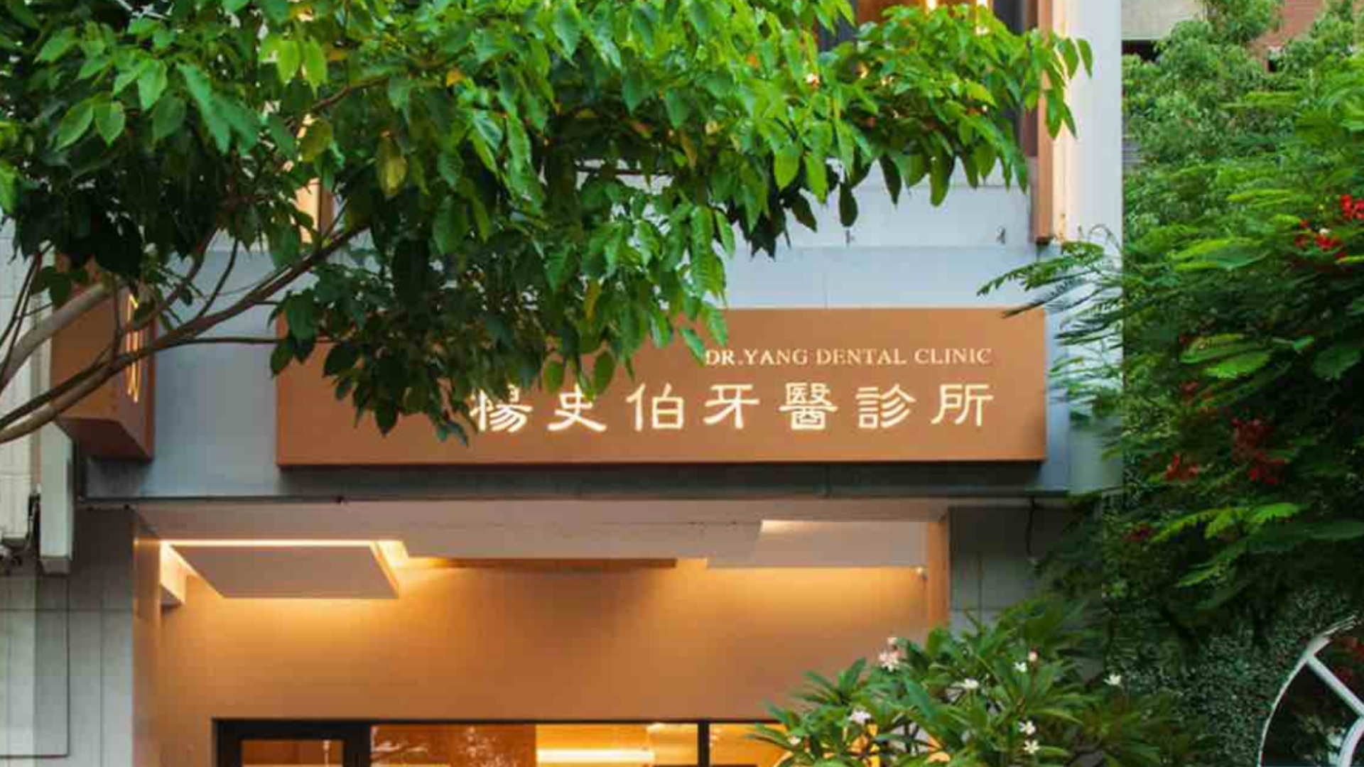 楊史伯牙醫診所